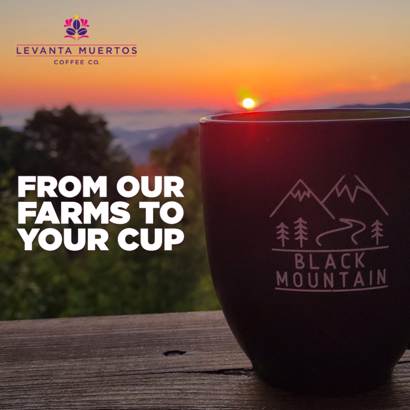 Levanta Muertos Coffee Co. 12 Pack Single Serve Coffee Capsules