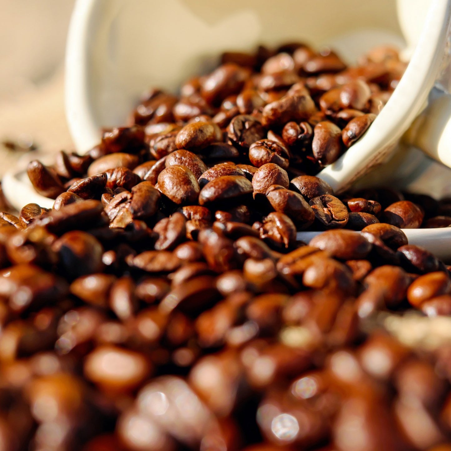 ¡Viva! Craft Coffee 12 oz.